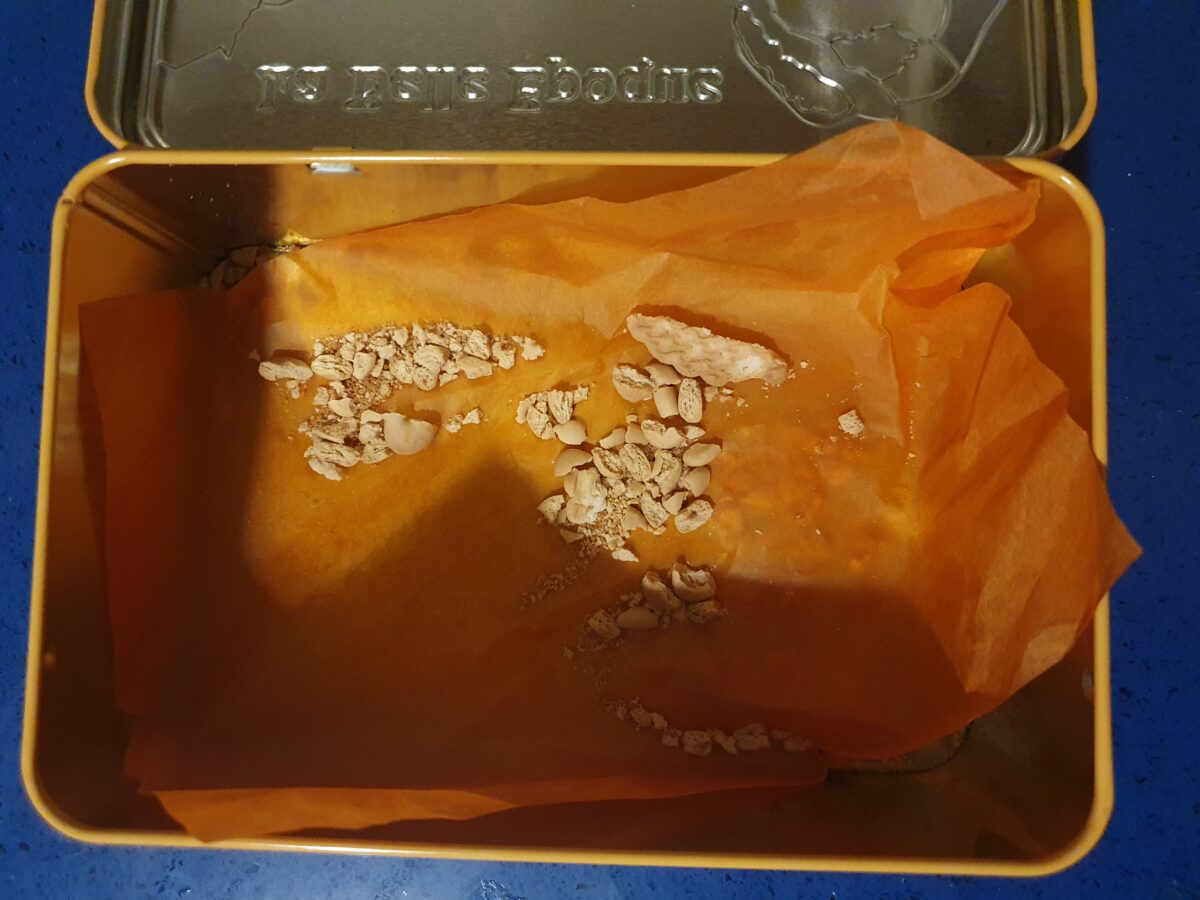 Diario del coronavirus (12): En peligro de contagio de ERTE