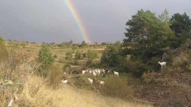 La España vaciada prepara su guerra contra la despoblación mediante una nación digital