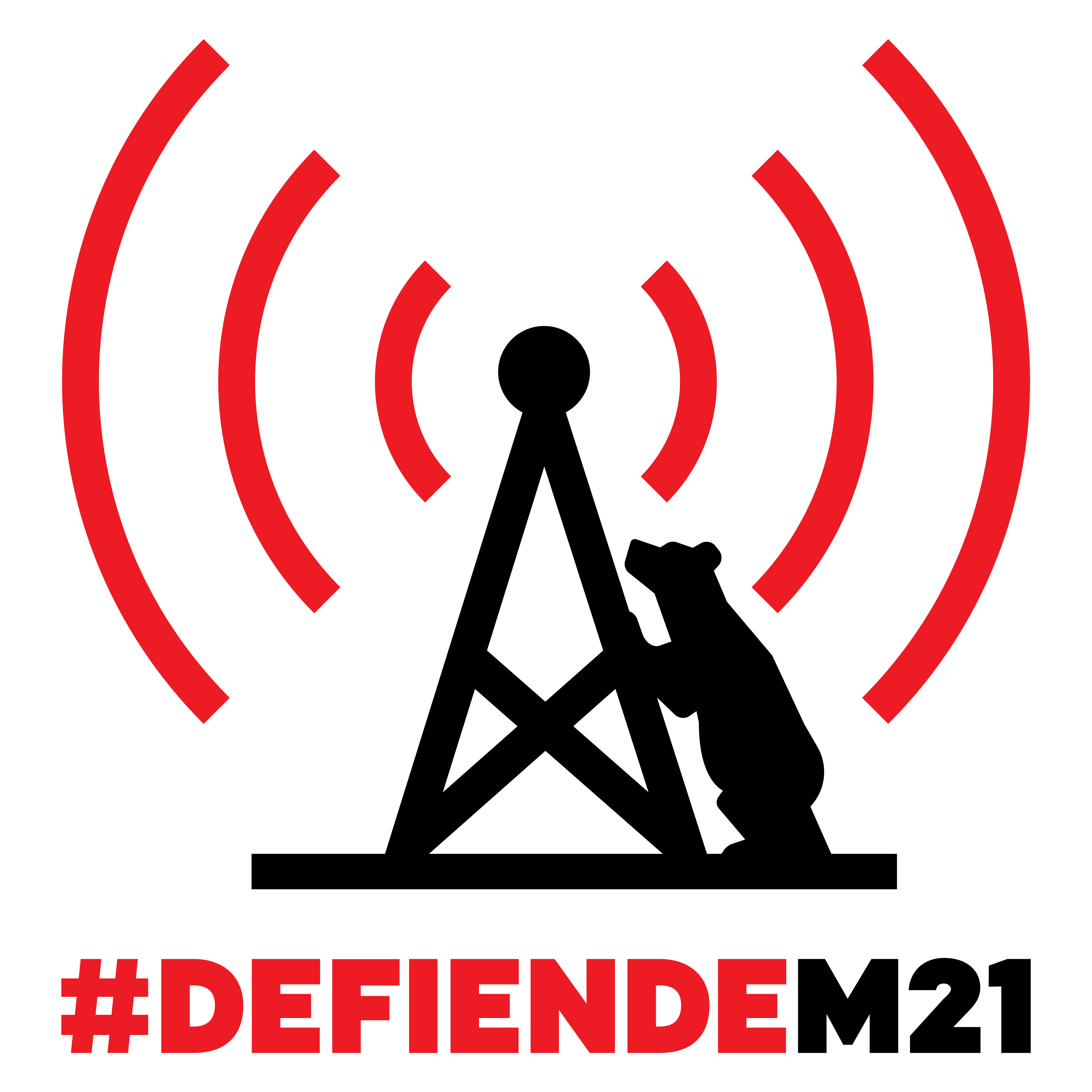 Defiende M21