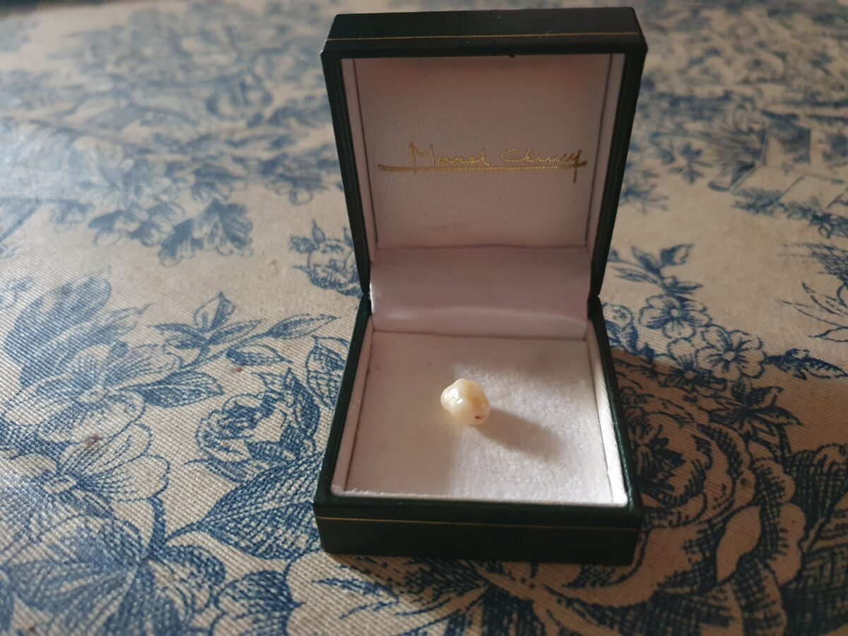 Diario del coronavirus (33): Salvoconducto para ratones