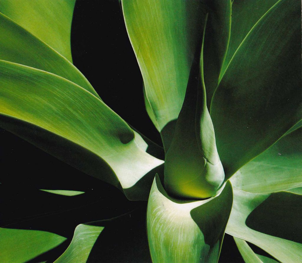 Destripamos el ‘Exciter’